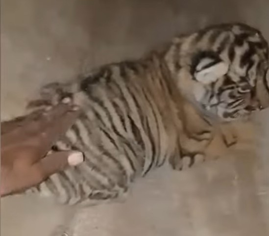 Generic placeholder image