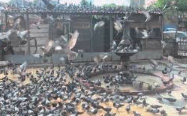 Generic placeholder image