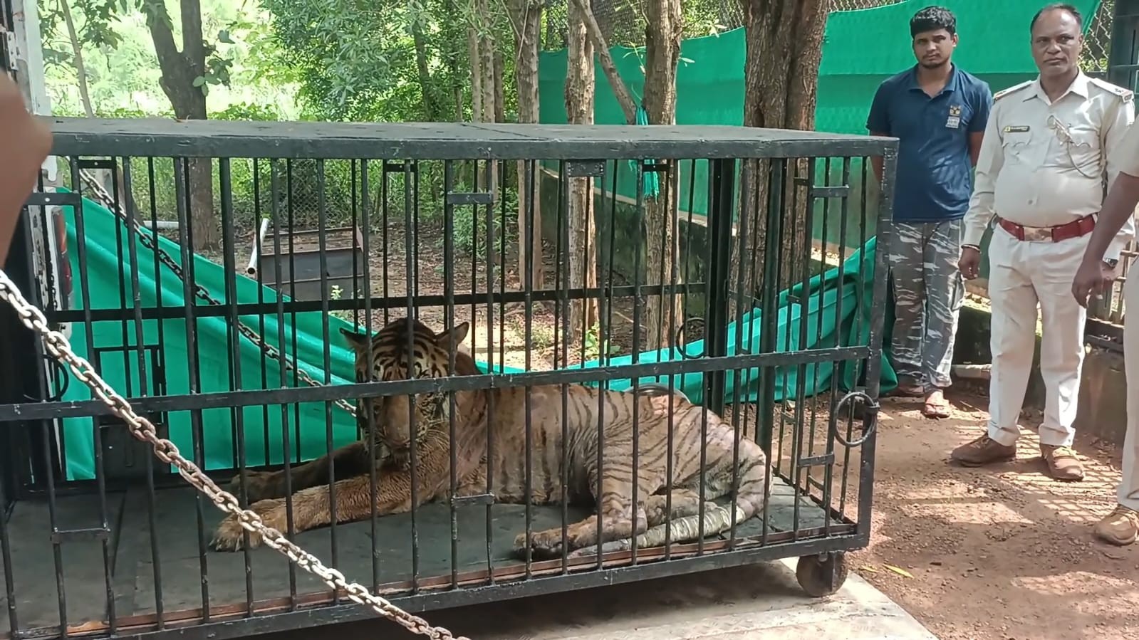 Generic placeholder image