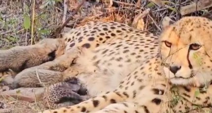 Generic placeholder image