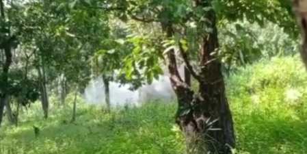 Generic placeholder image