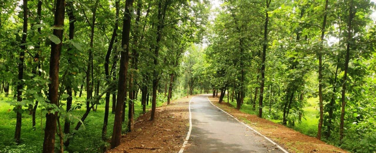 Generic placeholder image