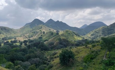 Generic placeholder image