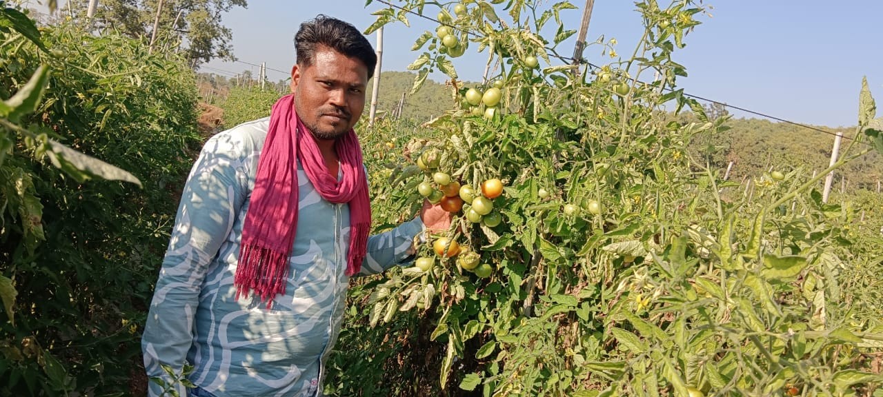 Generic placeholder image