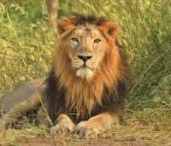 Generic placeholder image