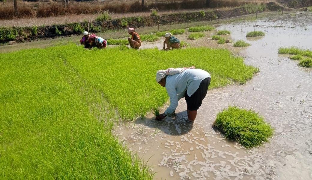 Generic placeholder image