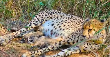 Generic placeholder image