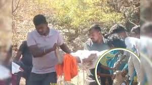 Generic placeholder image