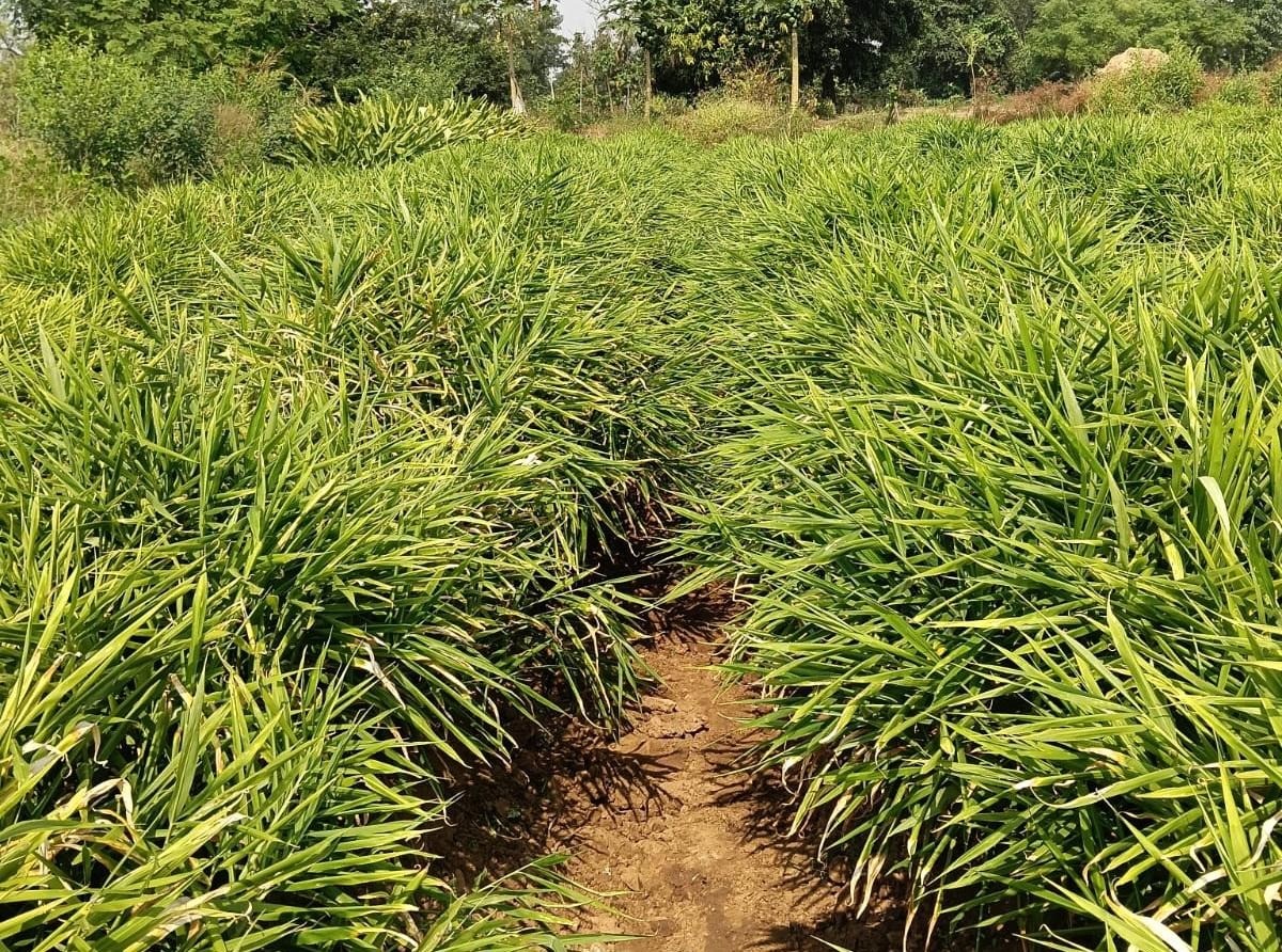 Generic placeholder image