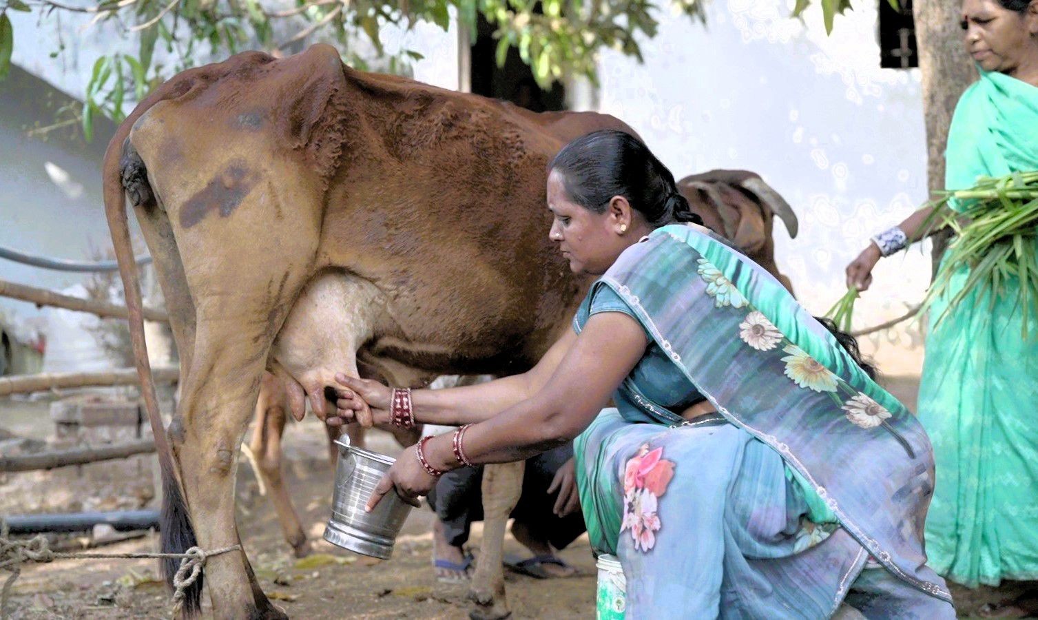 Generic placeholder image