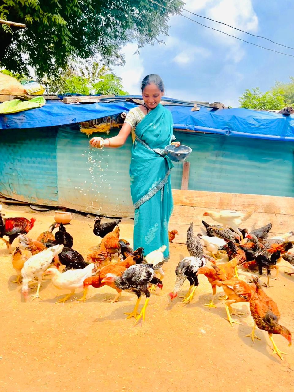 Generic placeholder image