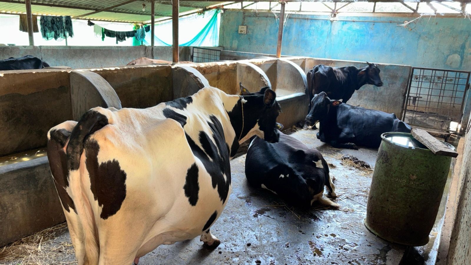 Generic placeholder image