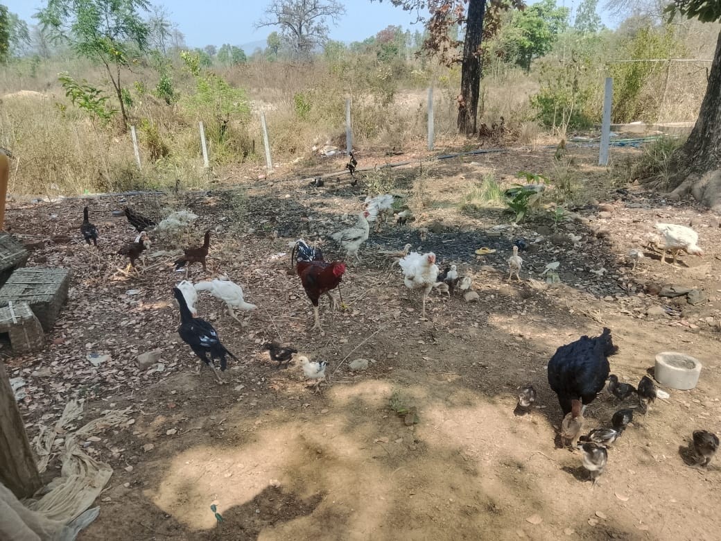 Generic placeholder image